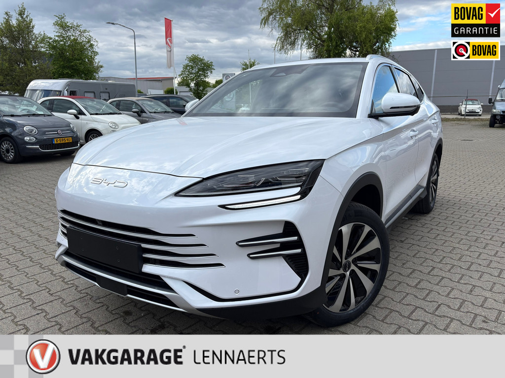 53041504