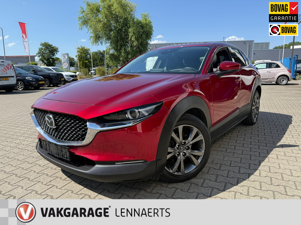 54955006